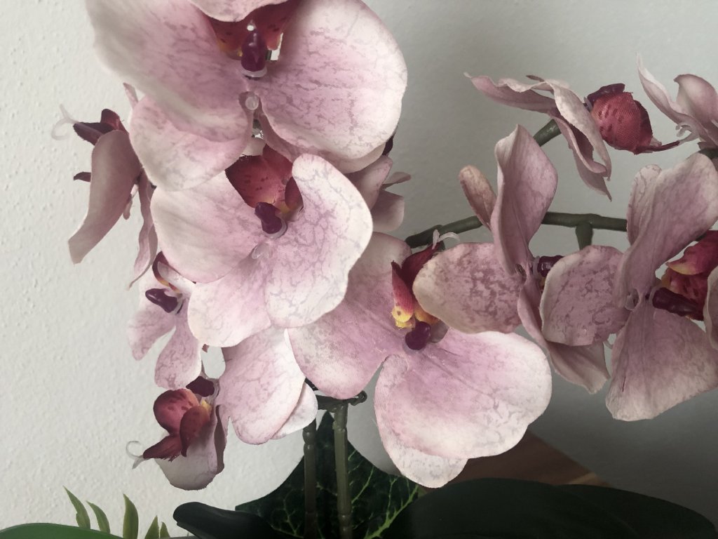 Umělá orchidej jako živá